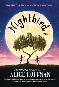 Cover image for Nightbird