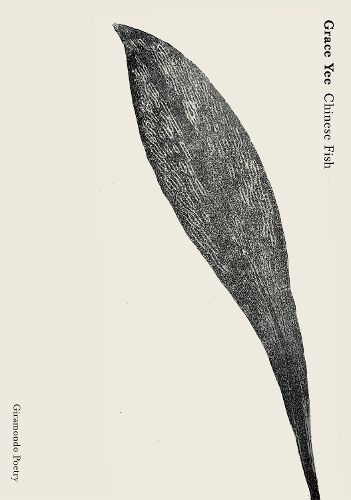 Cover image for Chinese Fish