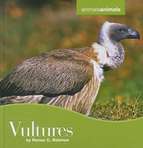 Cover image for Vultures