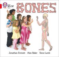 Cover image for Bones: Band 02b/Red B