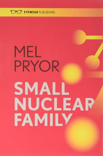 Cover image for Small Nuclear Family