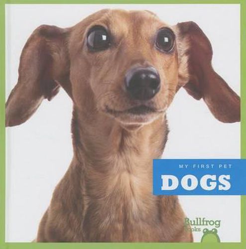 Cover image for Dogs