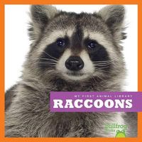 Cover image for Raccoons