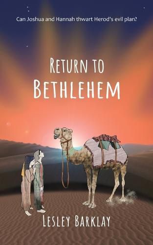 Cover image for Return to Bethlehem