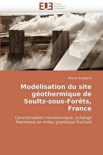 Cover image for Modlisation Du Site Gothermique de Soultz-Sous-Forts, France