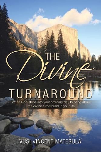 Cover image for The Divine Turnaround