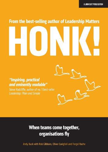 Cover image for HONK: When teams come together, organisations fly