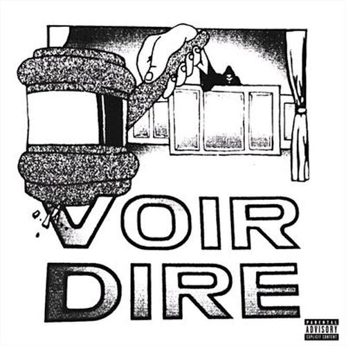 Cover image for Voir Dire