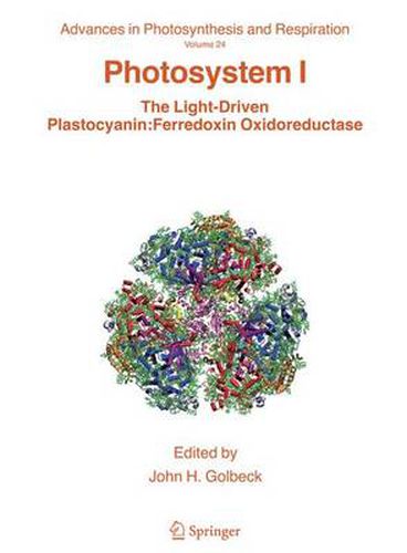 Cover image for Photosystem I: The Light-Driven Plastocyanin: Ferredoxin Oxidoreductase