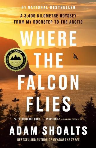 Cover image for Where the Falcon Flies