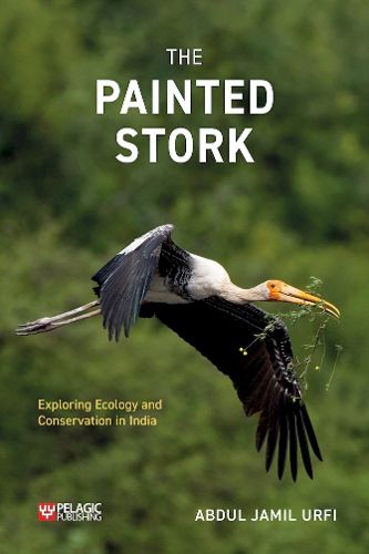Cover image for The Painted Stork