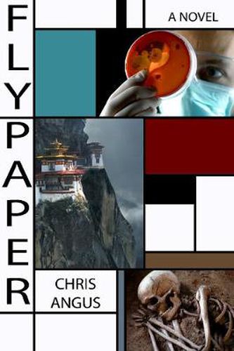 Cover image for Flypaper: A Novel