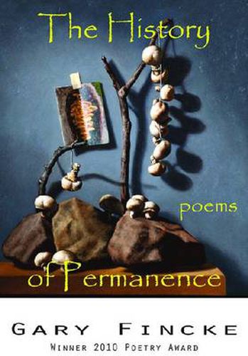 Cover image for The History of Permanence