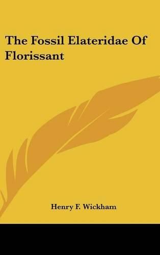 Cover image for The Fossil Elateridae of Florissant