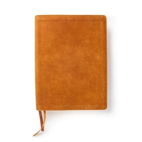 Cover image for Lifeway Women's Bible, Butterscotch Genuine Leather