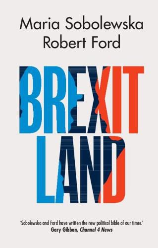 Brexitland: Identity, Diversity and the Reshaping of British Politics