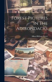 Cover image for Forest Pictures In The Adirondacks