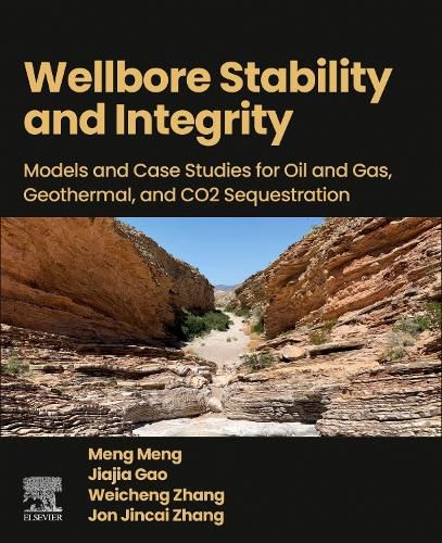 Cover image for Wellbore Stability and Integrity