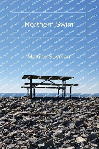 Cover image for Northern Swim