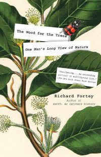 Cover image for The Wood for the Trees: One Man's Long View of Nature
