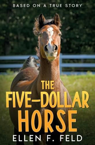 Cover image for The Five-Dollar Horse