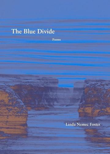 Cover image for The Blue Divide - Poems