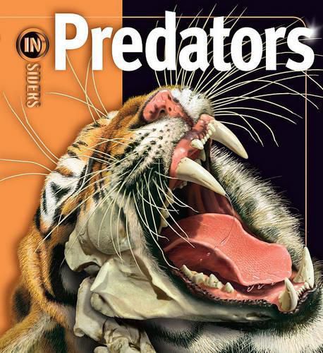 Cover image for Predators