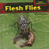 Cover image for Flesh Flies