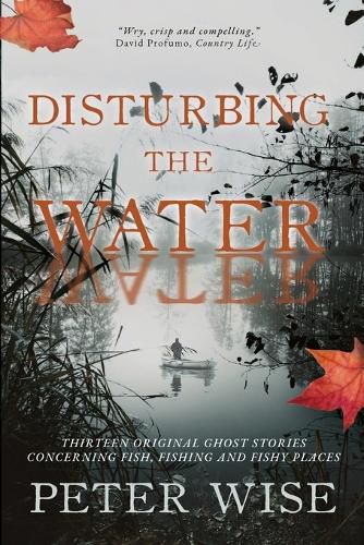 Cover image for Disturbing the Water