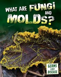 Cover image for What Are Fungi and Molds?