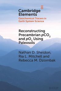 Cover image for Reconstructing Precambrian pCO2 and pO2 Using Paleosols