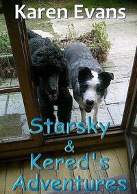 Cover image for Starsky & Kered's Adventures