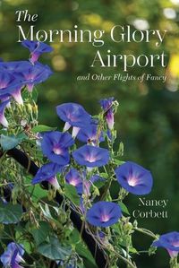 Cover image for The Morning Glory Airport and Other Flights of Fancy