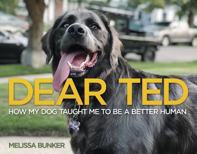 Cover image for Dear Ted