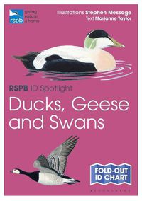 Cover image for RSPB ID Spotlight - Ducks, Geese and Swans