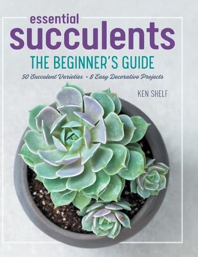 Cover image for Essential Succulents: The Beginner's Guide