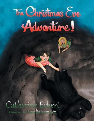 Cover image for The Christmas Eve Adventure!