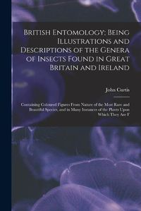 Cover image for British Entomology; Being Illustrations and Descriptions of the Genera of Insects Found in Great Britain and Ireland