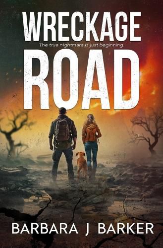 Cover image for Wreckage Road
