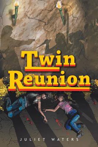 Cover image for Twin Reunion