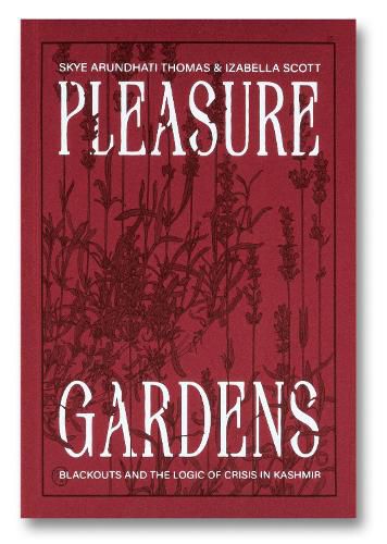 Pleasure Gardens: Blackouts and the Logic of Crisis