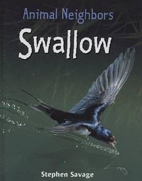 Cover image for Swallow