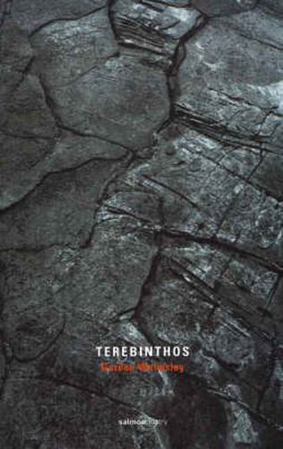 Cover image for Terebinthos: Poems and Stone Fragments
