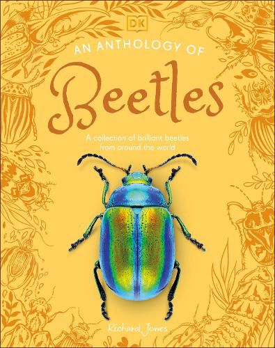 Cover image for An Anthology of Beetles