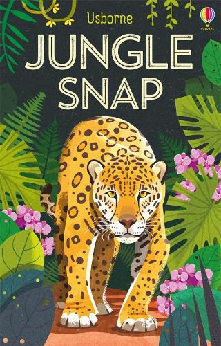 Cover image for Jungle Snap