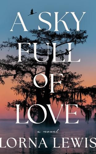 Cover image for A Sky Full of Love