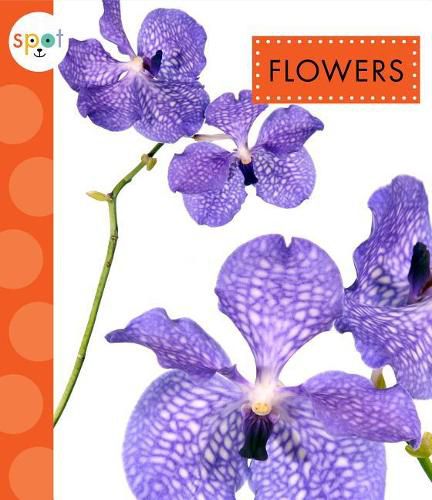 Cover image for Flowers