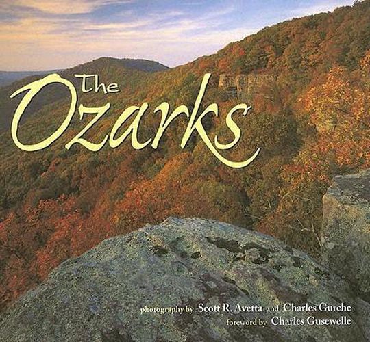 Cover image for The Ozarks