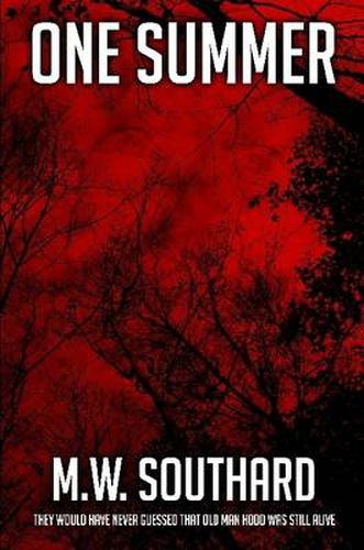 Cover image for One Summer