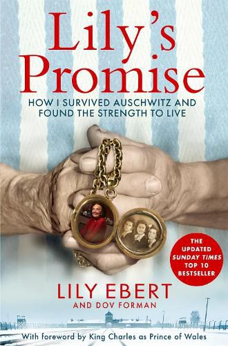 Cover image for Lily's Promise